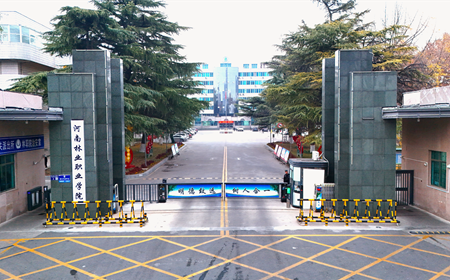 校門