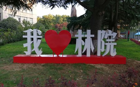 林院風(fēng)光